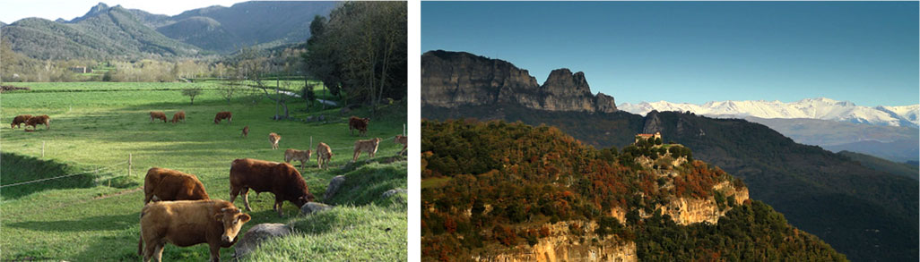 Finca la Coromina