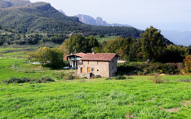 La freixadella