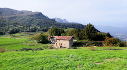 La Freixadella