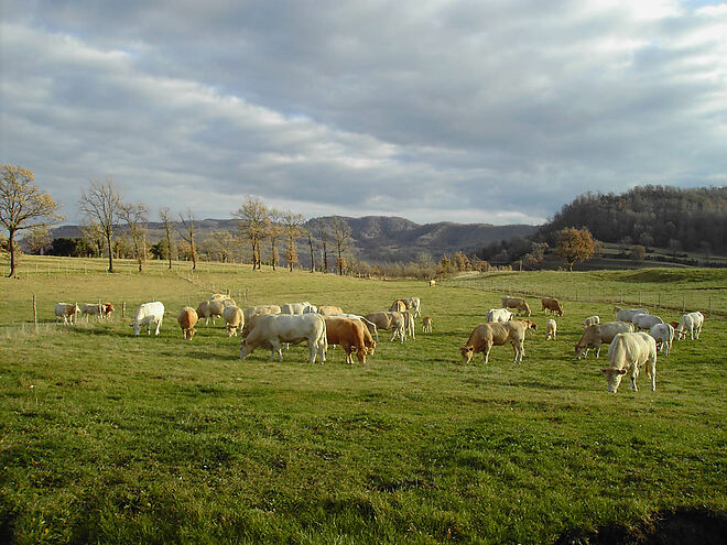 Finca la Coromina