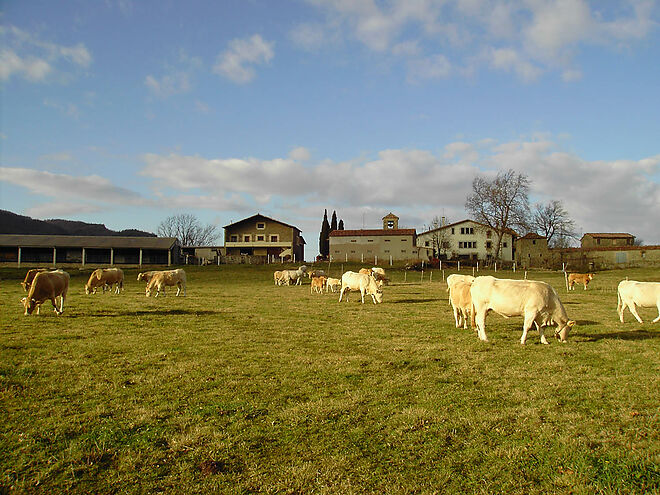 Finca la Coromina